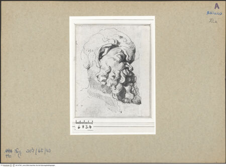 Vorderseite von bh147961_recto