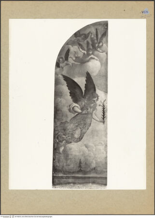 Vorderseite von bh148253_recto