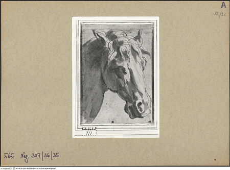 Vorderseite von bh148326_recto