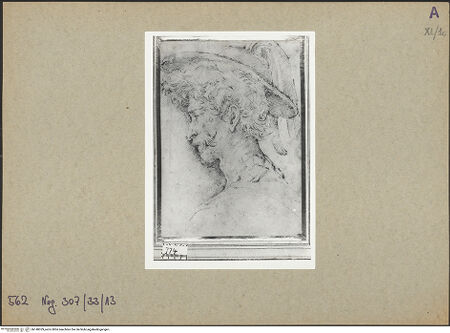 Vorderseite von bh148329_recto