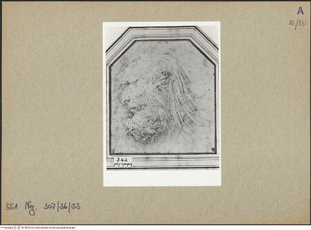 Vorderseite von bh148336_recto