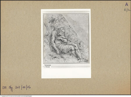 Vorderseite von bh148339_recto