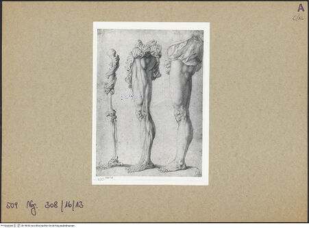 Vorderseite von bh148353_recto