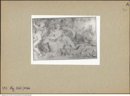 Vorderseite von bh148357_recto