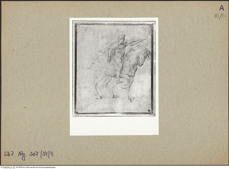 Vorderseite von bh148389_recto