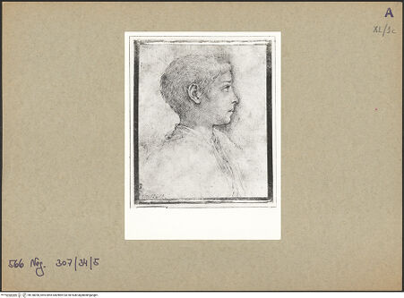 Vorderseite von bh148390_recto