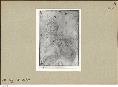 Vorderseite von bh148429_recto