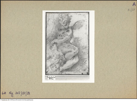 Vorderseite von bh148430_recto