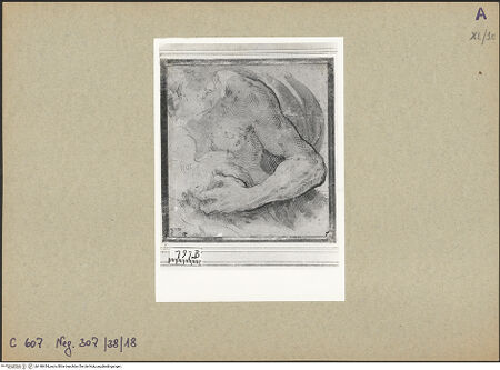 Vorderseite von bh148434_recto