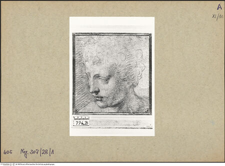 Vorderseite von bh148436_recto