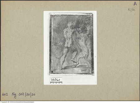 Vorderseite von bh148439_recto