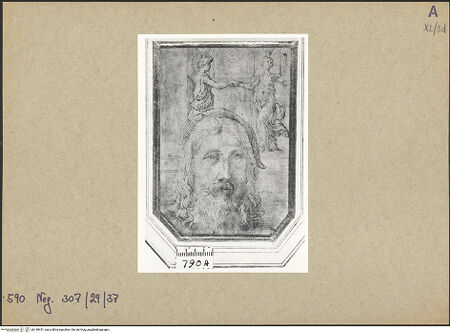 Vorderseite von bh148451_recto