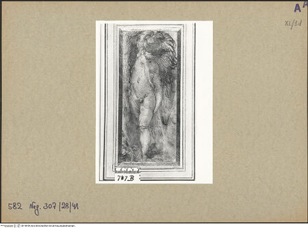 Vorderseite von bh148459_recto