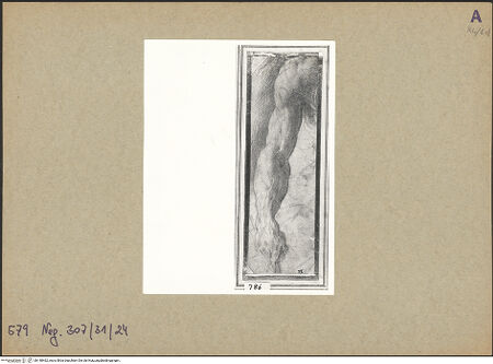 Vorderseite von bh148462_recto