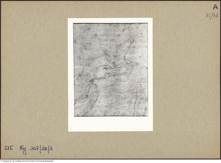 Vorderseite von bh148466_recto