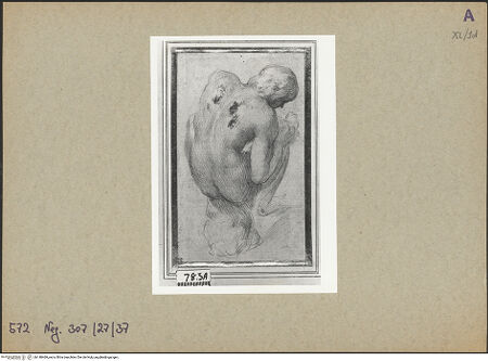 Vorderseite von bh148469_recto