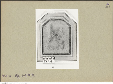 Vorderseite von bh148529_recto