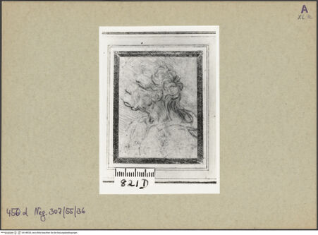 Vorderseite von bh148530_recto