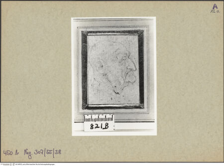 Vorderseite von bh148532_recto