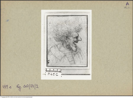 Vorderseite von bh148535_recto