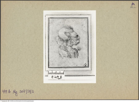 Vorderseite von bh148536_recto