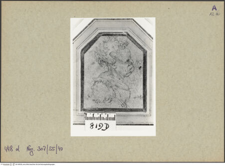 Vorderseite von bh148538_recto