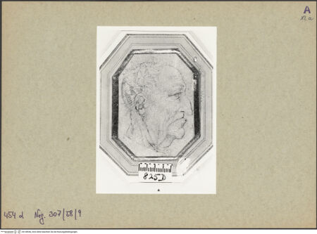 Vorderseite von bh148546_recto