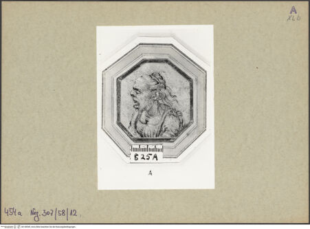 Vorderseite von bh148549_recto