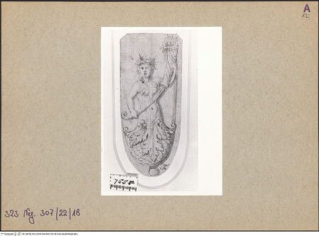 Vorderseite von bh148590_recto