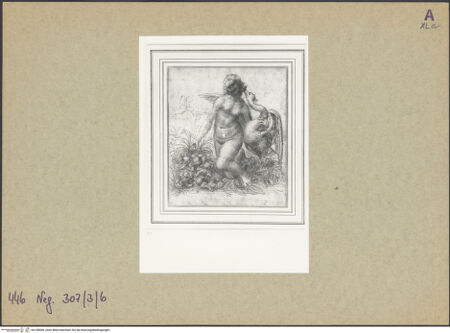 Vorderseite von bh148596_recto