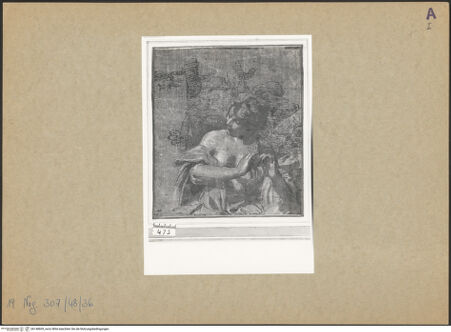 Vorderseite von bh148609_recto