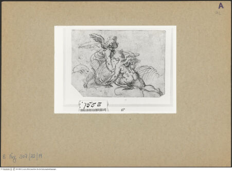 Vorderseite von bh148613_recto