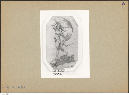 Vorderseite von bh148614_recto