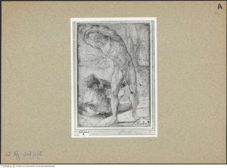 Vorderseite von bh148655_recto