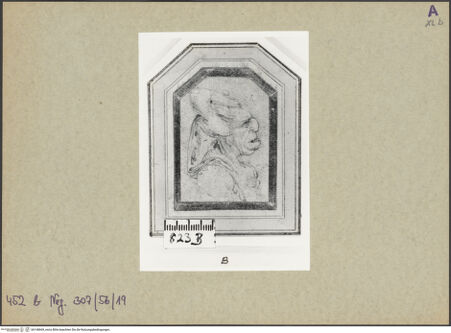 Vorderseite von bh148669_recto