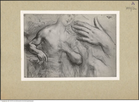 Vorderseite von bh149102_recto