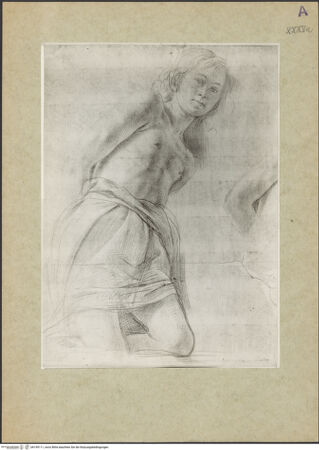 Vorderseite von bh149111_recto