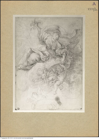 Vorderseite von bh149141_recto