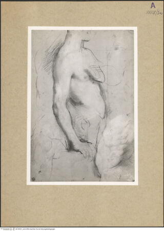 Vorderseite von bh149201_recto