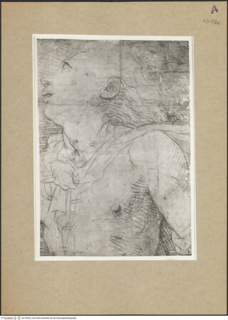 Vorderseite von bh149220_recto