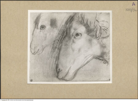 Vorderseite von bh149223_recto