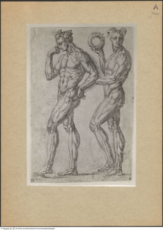 Vorderseite von bh149225_recto