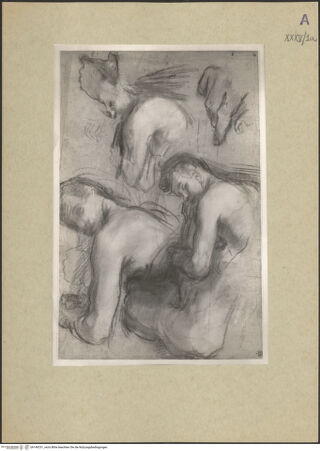 Vorderseite von bh149231_recto