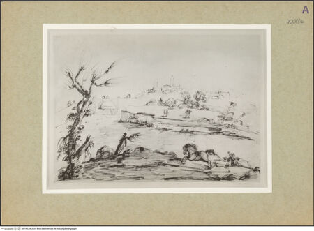 Vorderseite von bh149234_recto