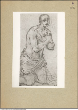 Vorderseite von bh149253_recto