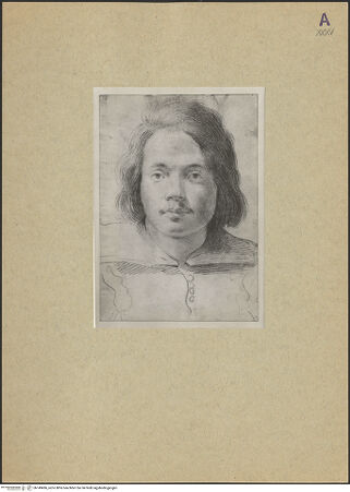 Vorderseite von bh149496_recto