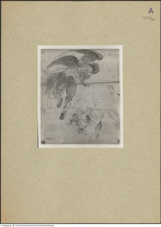 Vorderseite von bh149498_recto