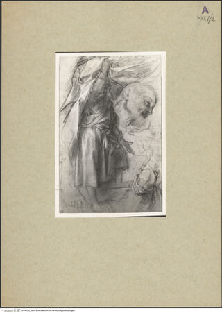 Vorderseite von bh149502_recto