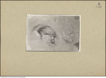 Vorderseite von bh149503_recto