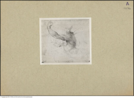 Vorderseite von bh149508_recto